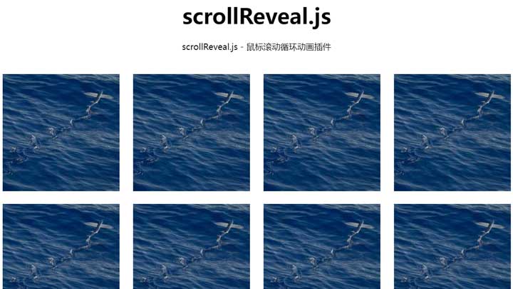 scrollReveal.js - 鼠标滚动循环动画插件