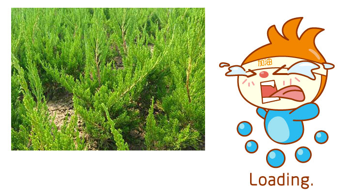 jQuery.lazyload图片延迟加载插件
